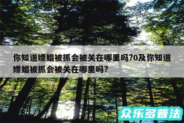 你知道嫖娼被抓会被关在哪里吗?0及你知道嫖娼被抓会被关在哪里吗?