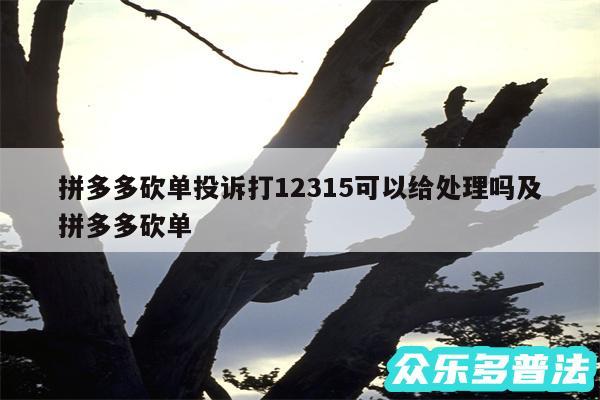 拼多多砍单投诉打12315可以给处理吗及拼多多砍单