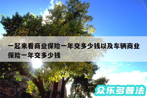 一起来看商业保险一年交多少钱以及车辆商业保险一年交多少钱