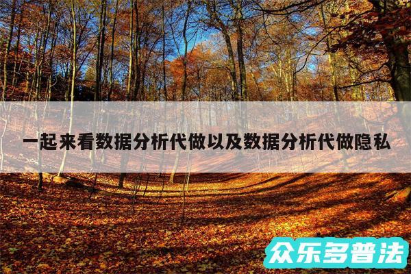 一起来看数据分析代做以及数据分析代做隐私