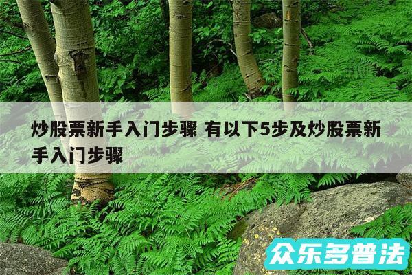 炒股票新手入门步骤 有以下5步及炒股票新手入门步骤