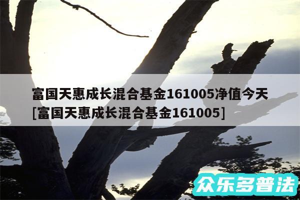 富国天惠成长混合基金161005净值今天及富国天惠成长混合基金161005