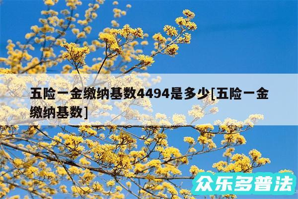 五险一金缴纳基数4494是多少及五险一金缴纳基数