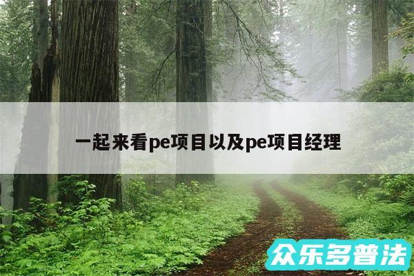 一起来看pe项目以及pe项目经理