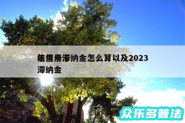 信用卡滞纳金怎么算以及2024
年信用卡滞纳金