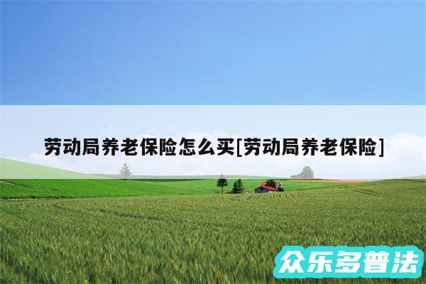 劳动局养老保险怎么买及劳动局养老保险