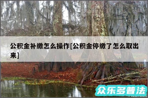 公积金补缴怎么操作及公积金停缴了怎么取出来