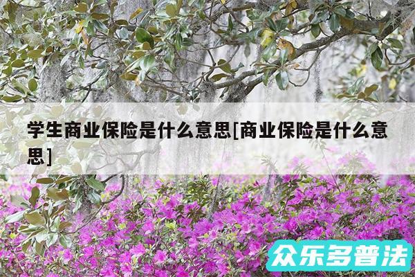 学生商业保险是什么意思及商业保险是什么意思