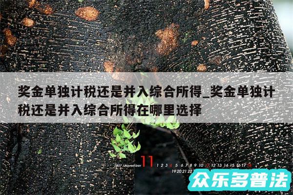 奖金单独计税还是并入综合所得_奖金单独计税还是并入综合所得在哪里选择