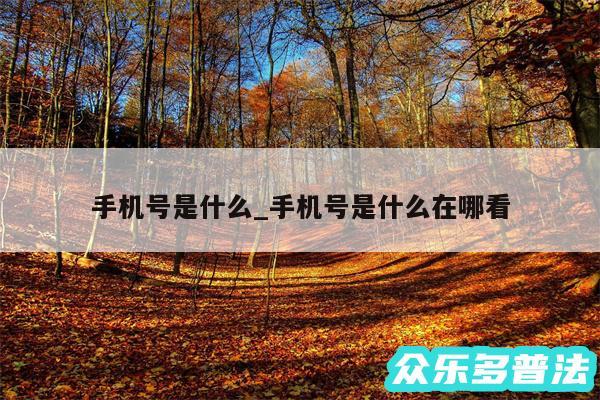 手机号是什么_手机号是什么在哪看