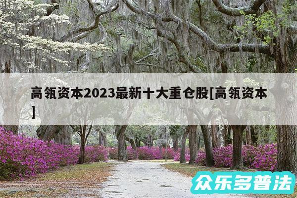 高瓴资本2024最新十大重仓股及高瓴资本