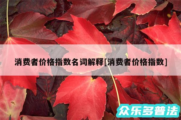 消费者价格指数名词解释及消费者价格指数