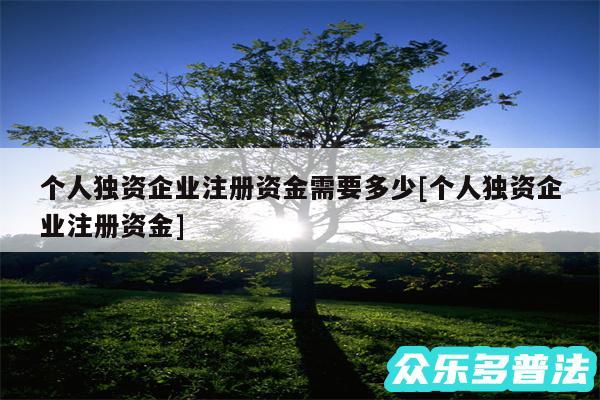 个人独资企业注册资金需要多少及个人独资企业注册资金