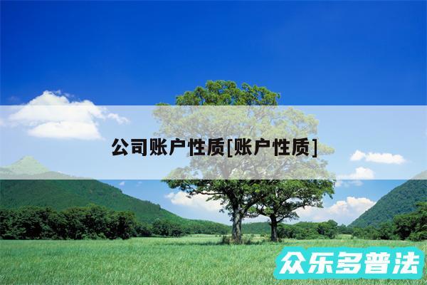 公司账户性质及账户性质