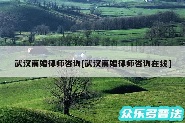 武汉离婚律师咨询及武汉离婚律师咨询在线