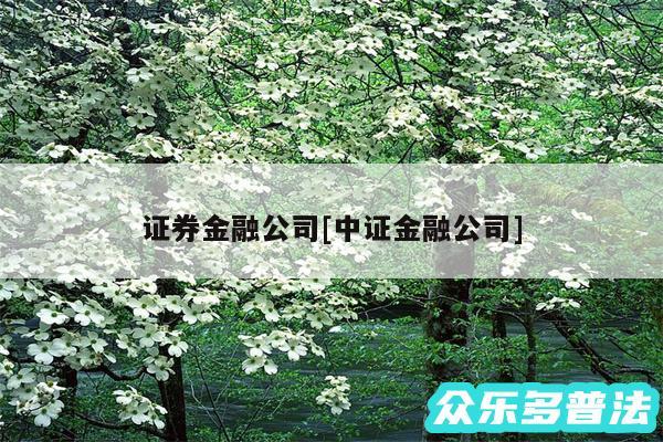 证券金融公司及中证金融公司