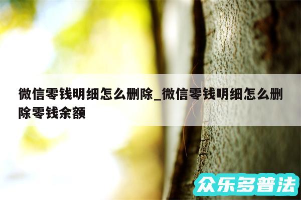 微信零钱明细怎么删除_微信零钱明细怎么删除零钱余额