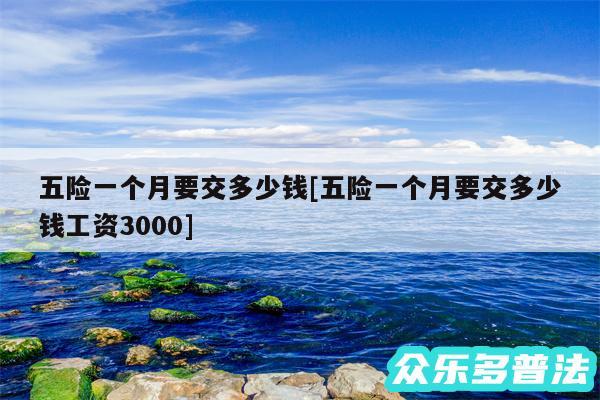 五险一个月要交多少钱及五险一个月要交多少钱工资3000