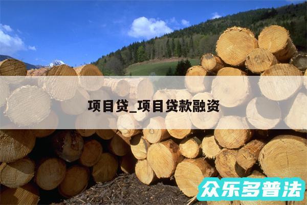 项目贷_项目贷款融资