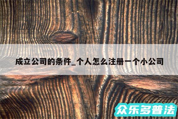 成立公司的条件_个人怎么注册一个小公司