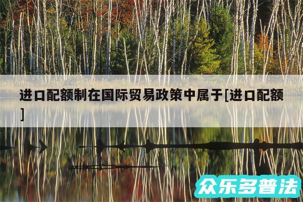 进口配额制在国际贸易政策中属于及进口配额