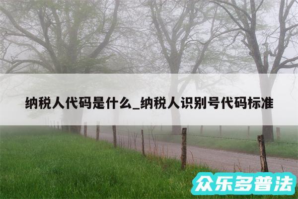 纳税人代码是什么_纳税人识别号代码标准