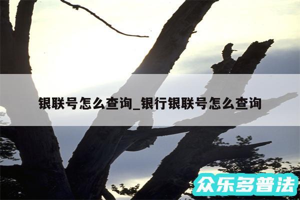 银联号怎么查询_银行银联号怎么查询