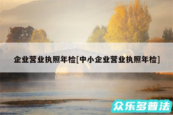 企业营业执照年检及中小企业营业执照年检