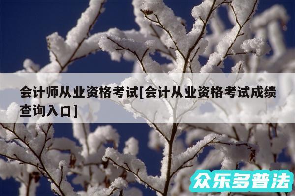 会计师从业资格考试及会计从业资格考试成绩查询入口