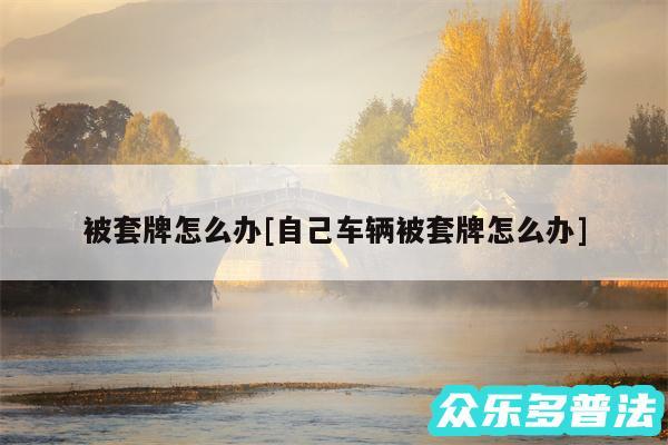 被套牌怎么办及自己车辆被套牌怎么办