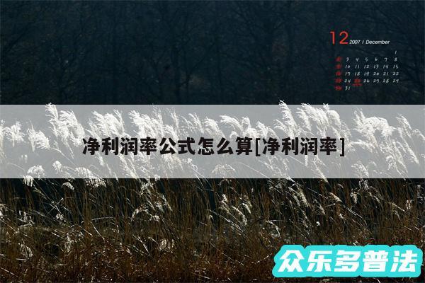 净利润率公式怎么算及净利润率