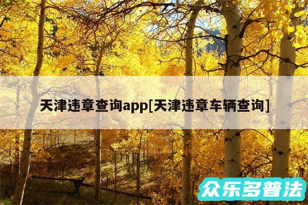 天津违章查询app及天津违章车辆查询