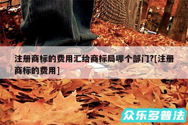 注册商标的费用汇给商标局哪个部门?及注册商标的费用