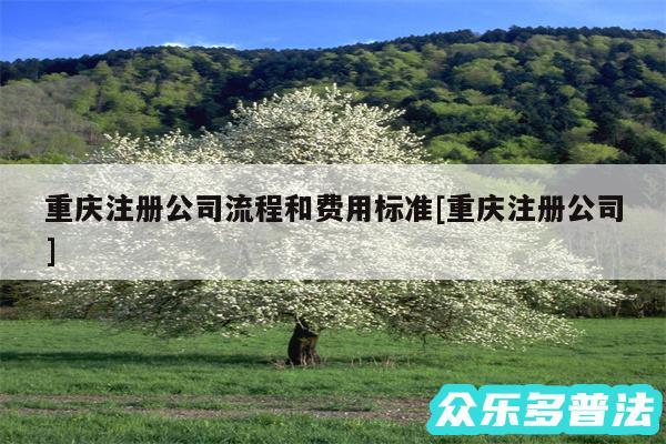 重庆注册公司流程和费用标准及重庆注册公司