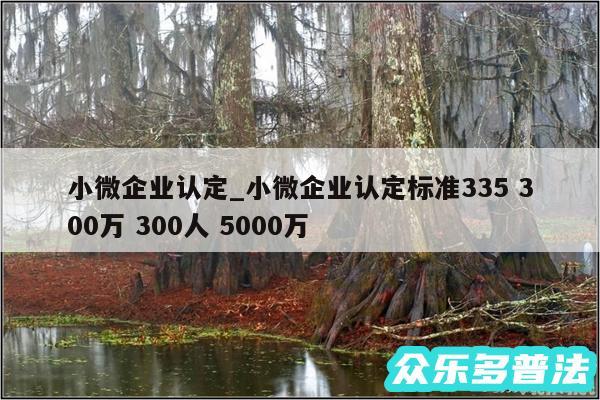 小微企业认定_小微企业认定标准335 300万 300人 5000万