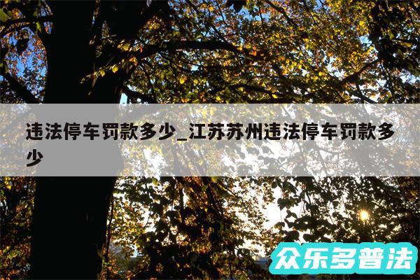 违法停车罚款多少_江苏苏州违法停车罚款多少