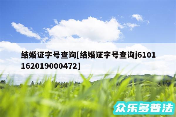 结婚证字号查询及结婚证字号查询j6101162019000472