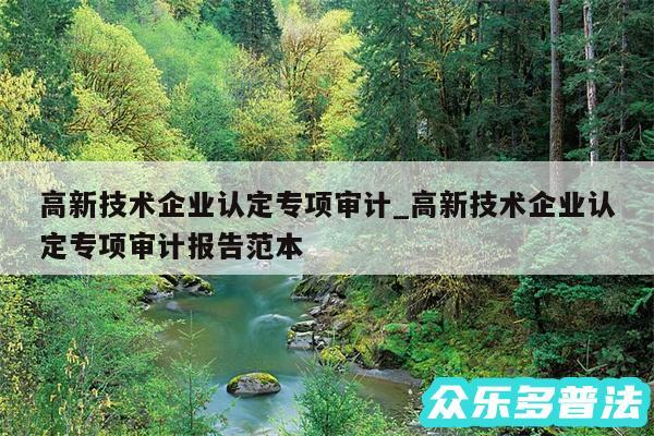 高新技术企业认定专项审计_高新技术企业认定专项审计报告范本