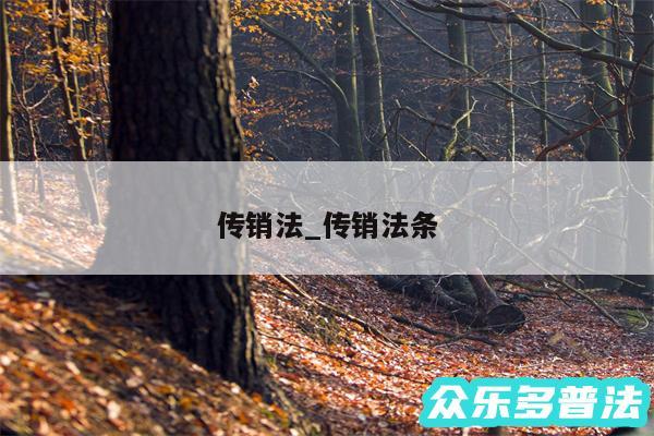 传销法_传销法条