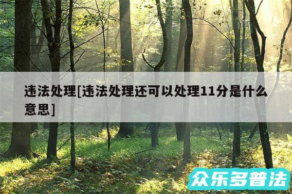 违法处理及违法处理还可以处理11分是什么意思
