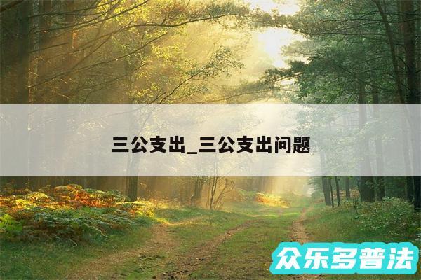 三公支出_三公支出问题