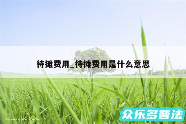 待摊费用_待摊费用是什么意思