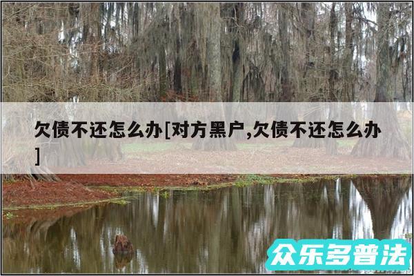 欠债不还怎么办及对方黑户,欠债不还怎么办