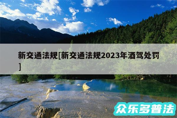 新交通法规及新交通法规2024年酒驾处罚