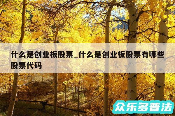 什么是创业板股票_什么是创业板股票有哪些股票代码