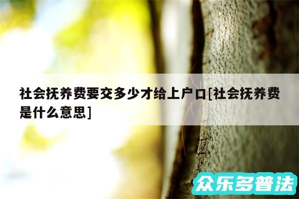 社会抚养费要交多少才给上户口及社会抚养费是什么意思