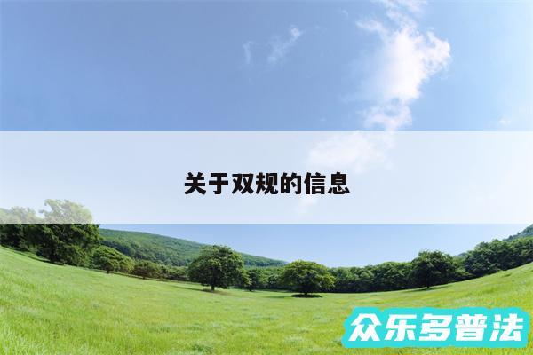 关于双规的信息