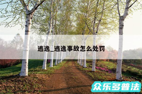 逃逸_逃逸事故怎么处罚