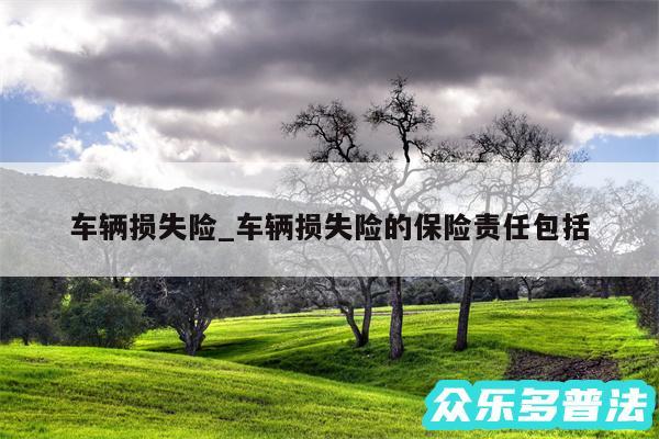 车辆损失险_车辆损失险的保险责任包括