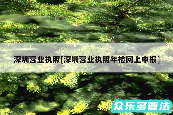 深圳营业执照及深圳营业执照年检网上申报